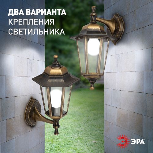 Светильник садово-парковый "Леда1" НБУ 06-60-001 настенный шестигран. под бронзу Эра Б0048115 фото 11 Светильник садово-парковый "Леда1" НБУ 06-60-001 настенный шестигран. под бронзу Эра Б0048115 фото 11