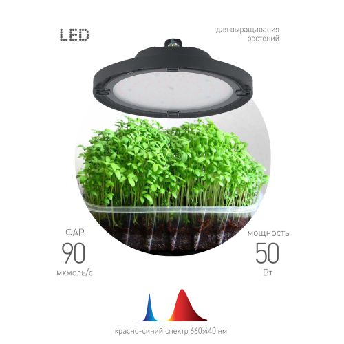 Прожектор светодиодный FITO-50W-RB-LED-UFO 50Вт для растений красн./син. спектр IP65 Эра Б0053280 Прожектор светодиодный FITO-50W-RB-LED-UFO 50Вт для растений красн./син. спектр IP65 Эра Б0053280