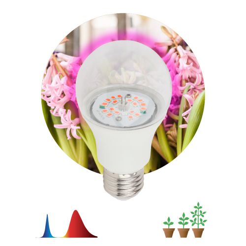 Лампа светодиодная FITO-10W-RB-E27-K 10Вт A60 грушевидная прозрачная 1310К E27 130-270В для растений красн./син. спектр Эра Б0039069 фото 6 Лампа светодиодная FITO-10W-RB-E27-K 10Вт A60 грушевидная прозрачная 1310К E27 130-270В для растений красн./син. спектр Эра Б0039069 фото 6