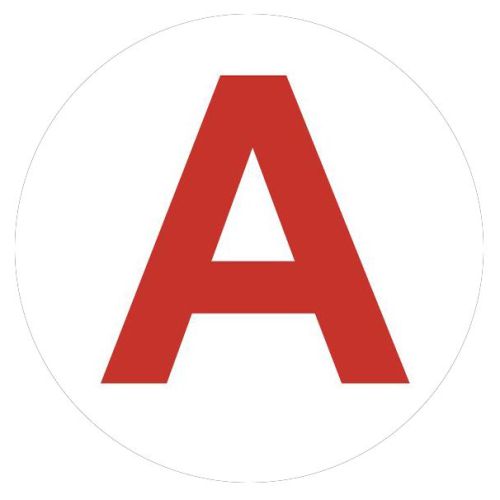 Этикетка самоклеящаяся INFO-LLP-129 50х50мм А для маркировки аварийных светильников Эра Б0069101 Этикетка самоклеящаяся INFO-LLP-129 50х50мм А для маркировки аварийных светильников Эра Б0069101