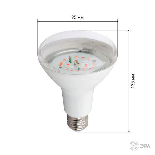 Лампа светодиодная FITO-16W-RB-E27-K 16Вт A60 грибовидная прозрачная 1310К E27 130-270В для растений красн./син. спектр Эра Б0039072 фото 3 Лампа светодиодная FITO-16W-RB-E27-K 16Вт A60 грибовидная прозрачная 1310К E27 130-270В для растений красн./син. спектр Эра Б0039072 фото 3