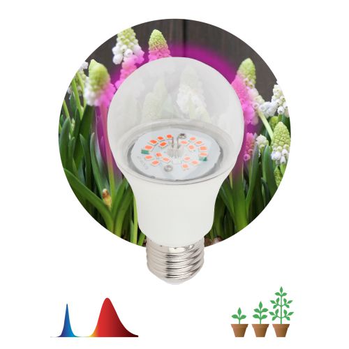 Лампа светодиодная FITO-14W-RB-E27-K 14Вт A60 грушевидная прозрачная 1310К E27 130-270В для растений красн./син. спектр Эра Б0039071 фото 5 Лампа светодиодная FITO-14W-RB-E27-K 14Вт A60 грушевидная прозрачная 1310К E27 130-270В для растений красн./син. спектр Эра Б0039071 фото 5