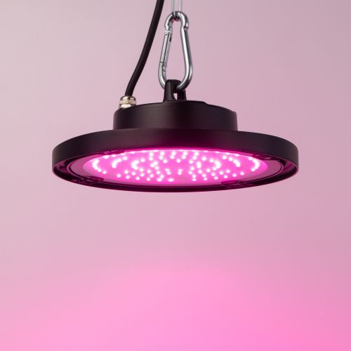 Прожектор светодиодный FITO-50W-RB-LED-UFO 50Вт для растений красн./син. спектр IP65 Эра Б0053280 фото 4 Прожектор светодиодный FITO-50W-RB-LED-UFO 50Вт для растений красн./син. спектр IP65 Эра Б0053280 фото 4