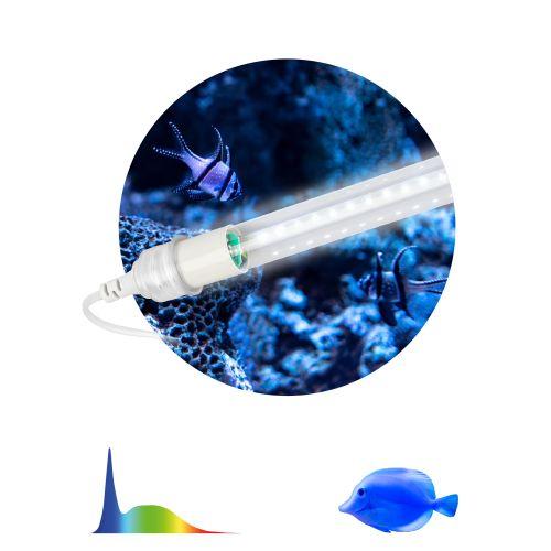 Светильник светодиодный FITO-10W-Ra90-Т8-AQUA 10Вт для аквариума (патроны в комплекте; IP20 лампа/IP65 патроны) полный спектр Эра Б0057417 Светильник светодиодный FITO-10W-Ra90-Т8-AQUA 10Вт для аквариума (патроны в комплекте; IP20 лампа/IP65 патроны) полный спектр Эра Б0057417