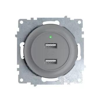 Розетка USB 2-м СП Florence 16А IP20 с подсветкой механизм сер. (1E10351302) OneKeyElectro 2260091 Розетка USB 2-м СП Florence 16А IP20 с подсветкой механизм сер. (1E10351302) OneKeyElectro 2260091