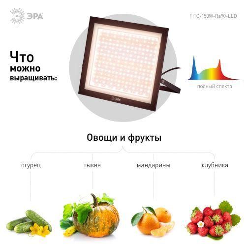 Прожектор светодиодный FITO-150W-Ra90-LED 150Вт для растений полного спектра профессиональный Эра Б0059880 Прожектор светодиодный FITO-150W-Ra90-LED 150Вт для растений полного спектра профессиональный Эра Б0059880