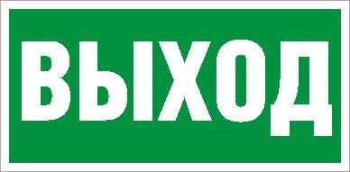 Пиктограмма "Выход" ПЭУ 010 335х165 РС-L СТ 2502000200 Пиктограмма "Выход" ПЭУ 010 335х165 РС-L СТ 2502000200