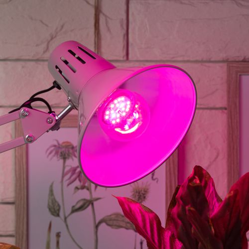 Лампа светодиодная FITO-10W-RB-E27-K 10Вт A60 грушевидная прозрачная 1310К E27 130-270В для растений красн./син. спектр Эра Б0039069 фото 3 Лампа светодиодная FITO-10W-RB-E27-K 10Вт A60 грушевидная прозрачная 1310К E27 130-270В для растений красн./син. спектр Эра Б0039069 фото 3