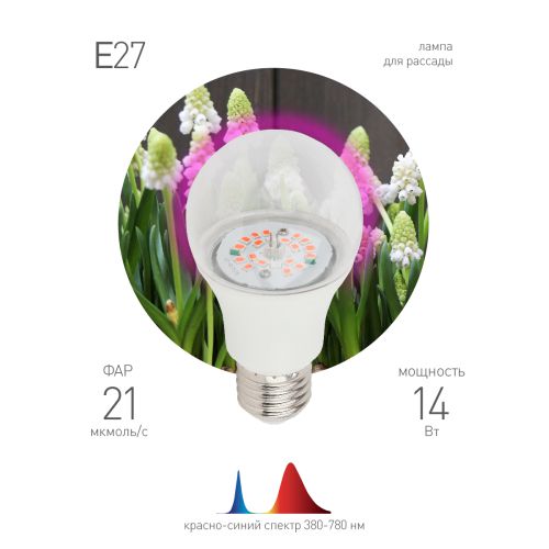 Лампа светодиодная FITO-14W-RB-E27-K 14Вт A60 грушевидная прозрачная 1310К E27 130-270В для растений красн./син. спектр Эра Б0039071 Лампа светодиодная FITO-14W-RB-E27-K 14Вт A60 грушевидная прозрачная 1310К E27 130-270В для растений красн./син. спектр Эра Б0039071