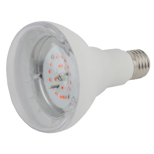 Лампа светодиодная FITO-16W-RB-E27-K 16Вт A60 грибовидная прозрачная 1310К E27 130-270В для растений красн./син. спектр Эра Б0039072 фото 4 Лампа светодиодная FITO-16W-RB-E27-K 16Вт A60 грибовидная прозрачная 1310К E27 130-270В для растений красн./син. спектр Эра Б0039072 фото 4