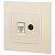 Розетка компьютерная + телевизионная 2-м Elegance 14-3110-02 RJ45 + TV IP20 механизм сл. кость Эра Б0034315