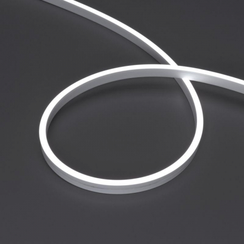 Лента светодиодная MOONLIGHT-SIDE-A120-06x12mm 24V White 6000К 9.6Вт/м IP65 wire x2 прямой вывод кабеля герметичная (уп.5м) Arlight 041033 Лента светодиодная MOONLIGHT-SIDE-A120-06x12mm 24V White 6000К 9.6Вт/м IP65 wire x2 прямой вывод кабеля герметичная (уп.5м) Arlight 041033