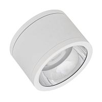 Светильник светодиодный DOWNLIGHT SURFACE ДПО 30Вт 4000К IP65 CRI80 угол 60град. d160мм бел. LEDVANCE 4058075769151