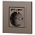 Розетка 1-м СП Accent 6-410-08 16А IP20 250В P+E Schuko + 2хUSB защ. шторки бронза Intro Б0063704