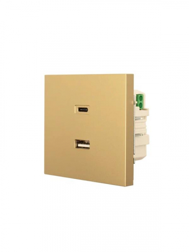 Розетка СП ZIMA IP20 Type-C + USB механизм зол. LEZARD 704-3688-192TC фото 2 Розетка СП ZIMA IP20 Type-C + USB механизм зол. LEZARD 704-3688-192TC фото 2