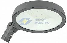Светильник светодиодный ДКУ Парк 2001-100Д 5000К IP65 IEK LDKU0-2001-100-5000-K02