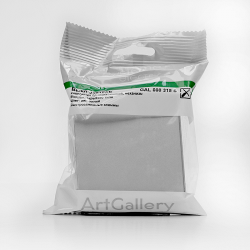 Выключатель кнопочный 1-кл. ArtGallery быстрозажим. клем. механизм алюм. SE GAL000315S фото 11 Выключатель кнопочный 1-кл. ArtGallery быстрозажим. клем. механизм алюм. SE GAL000315S фото 11