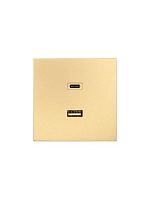 Розетка СП ZIMA IP20 Type-C + USB механизм зол. LEZARD 704-3688-192TC