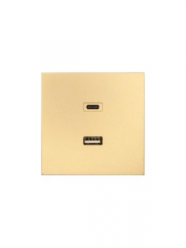 Розетка СП ZIMA IP20 Type-C + USB механизм зол. LEZARD 704-3688-192TC Розетка СП ZIMA IP20 Type-C + USB механизм зол. LEZARD 704-3688-192TC
