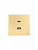 Розетка СП ZIMA IP20 Type-C + USB механизм зол. LEZARD 704-3688-192TC