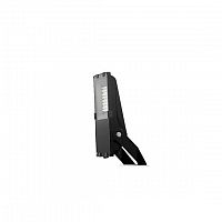Светильник светодиодный ДО08-50-501 FLG 750 LED 50Вт 5000К IP66 Ардатов 1202505501