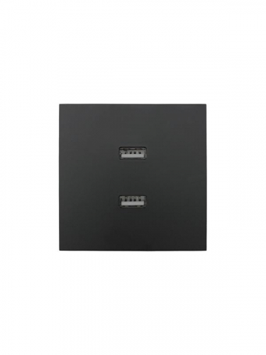 Розетка 1-мест. с 2-мест. USB разъем СП ZIMA IP20 черн. бархат LEZARD 704-4288-192 фото 4