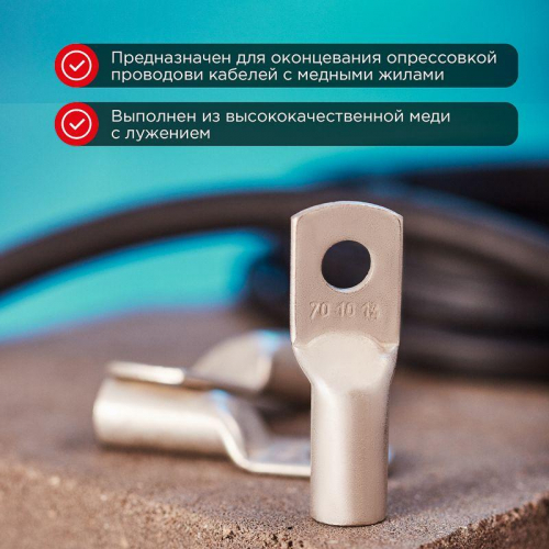 Наконечник ТМЛ 70-10-13 Rexant 07-5325 фото 2