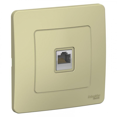 Розетка компьютерная 1-м СП Blanca RJ45 кат.5E беж. SE BLNIS045007 Розетка компьютерная 1-м СП Blanca RJ45 кат.5E беж. SE BLNIS045007