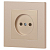Розетка 1-м СП Accent 6-201-04 16А IP20 250В 2P шампань Intro Б0063663
