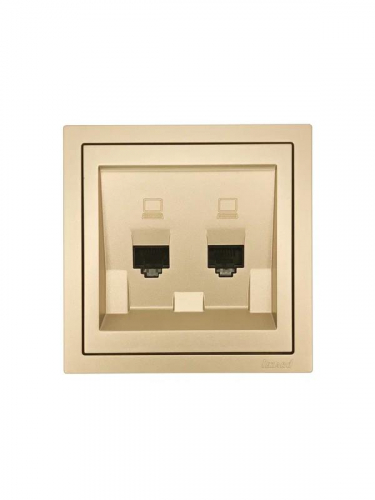 Розетка компьютерная 2-м СП ZIMA IP20 механизм зол. LEZARD 704-3688-141 фото 3 Розетка компьютерная 2-м СП ZIMA IP20 механизм зол. LEZARD 704-3688-141 фото 3