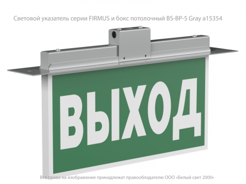 Указатель световой BS-FIRMUS-71-S1-INEXI2 Белый свет a18967 фото 2