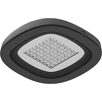 Светильник светодиодный SKYLINE LED/CAT 60W DS1 730 RAL9006 СТ 1707001240