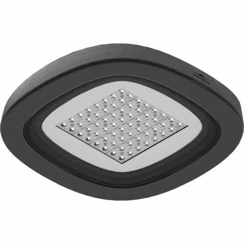 Светильник светодиодный SKYLINE LED/CAT 60W DS1 730 RAL9006 СТ 1707001240 Светильник светодиодный SKYLINE LED/CAT 60W DS1 730 RAL9006 СТ 1707001240