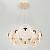 Люстра светодиодная Helena 6134-101 LED 30Вт 3000К дизайн Rivoli Б0061977