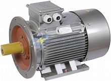 Электродвигатель АИР DRIVE 3ф 250M6 660В 55кВт 1000об/мин 2081 ONI DRV250-M6-055-0-1020