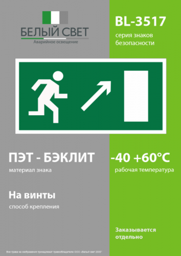 Знак безопасности BL-3517.E05"Напр. к эвакуационному выходу направо вверх" Белый свет a12969 фото 3