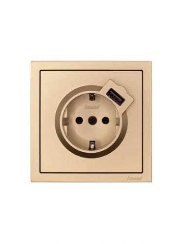 Розетка 1-м СП ZIMA IP20 + USB с заземл. механизм зол. LEZARD 704-3688-181 фото 3