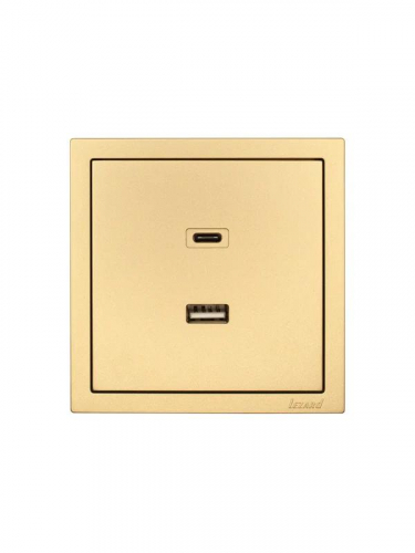 Розетка СП ZIMA IP20 Type-C + USB механизм зол. LEZARD 704-3688-192TC фото 3 Розетка СП ZIMA IP20 Type-C + USB механизм зол. LEZARD 704-3688-192TC фото 3