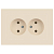 Розетка 2-м СП Accent 6-204-02 16А IP20 250В 2P AL/CU сл. кость Intro Б0063474