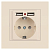 Розетка 1-м СП Accent 6-410-02 16А IP20 250В P+E Schuko + 2хUSB защ. шторки сл. кость Intro Б0063692