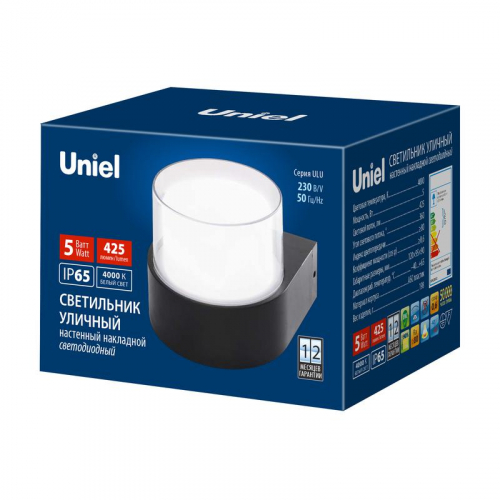 Светильник светодиодный ULU-P21A-5W/4000K IP65 BLACK 4000К уличный архитектурный накладной черн. Uniel UL-00010515 фото 4