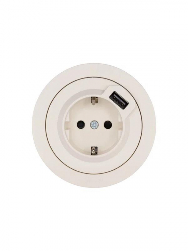 Розетка 1-м СП OSEN с заземл. + USB разъем механизм сл. кость LEZARD 743-9088-181 фото 4