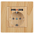 Розетка 1-м СП Accent 6-410-11 16А IP20 250В P+E Schuko + 2хUSB защ. шторки сосна Intro Б0063720