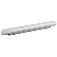 Светильник светодиодный SPP-211-0-65K-036 36Вт 6500К IP65 600мм матов. Эра Б0069203