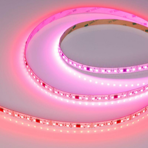 Лента светодиодная SPI-A120-10mm 24V RGB-PX6-BPT 23Вт/м IP20 2835 бегущий огонь (уп.5м) Arlight 046871 Лента светодиодная SPI-A120-10mm 24V RGB-PX6-BPT 23Вт/м IP20 2835 бегущий огонь (уп.5м) Arlight 046871