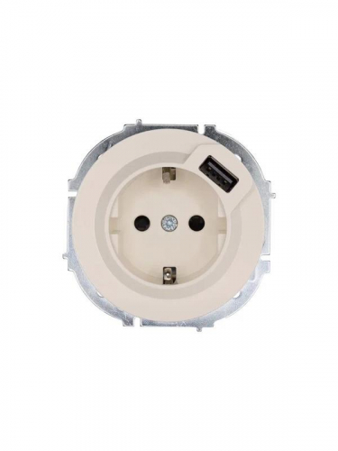 Розетка 1-м СП OSEN с заземл. + USB разъем механизм сл. кость LEZARD 743-9088-181