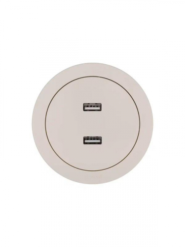 Розетка 2-м СП OSEN USB разъем механизм сл. кость LEZARD 743-9088-192 фото 4 Розетка 2-м СП OSEN USB разъем механизм сл. кость LEZARD 743-9088-192 фото 4