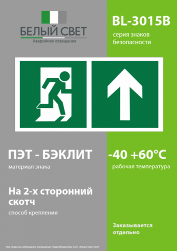 Знак безопасности BL-3015B.E38"Напр. к эвакуационному выходу прямо" Белый свет a18154 фото 3