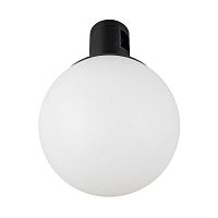 Светильник светодиодный ART-APRIORI-SFERO-R120-5W Day4000 (BK 350 deg 48В) IP20 металл Arlight 039396