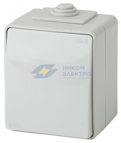 Переключатель 1-кл. ОП Эра Эксперт 10А IP65 11-1603-03 250В 10AX сер. Эра Б0035975 Переключатель 1-кл. ОП Эра Эксперт 10А IP65 11-1603-03 250В 10AX сер. Эра Б0035975